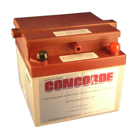 RG24-11M VR Sealed Lead Acid Battery
