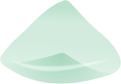 W-2497-LH WingTip Lens LH